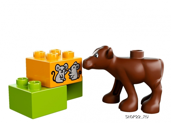 ������ ������� ����� ������ 10521 � �������� - ����