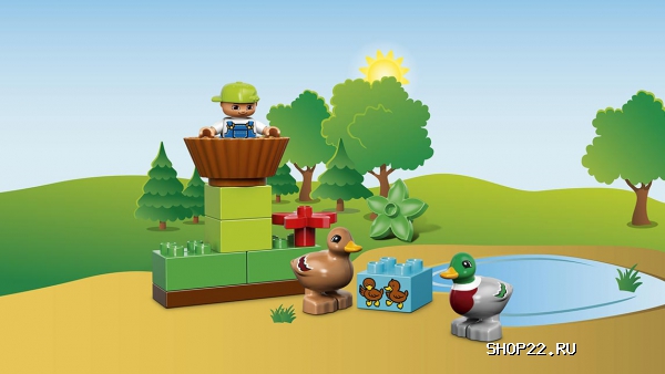 ������ ������� ����� ������ � ���� 10581 � �������� - ����