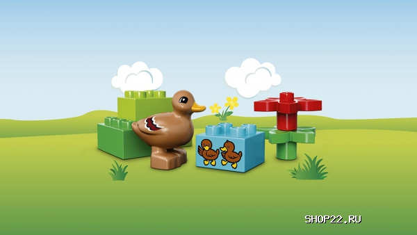 ������ ������� ����� ������ � ���� 10581 � �������� - ����