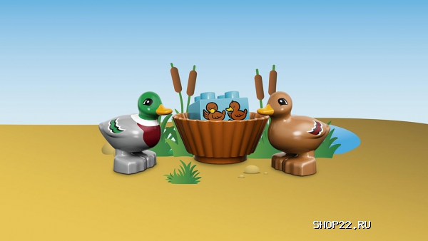 ������ ������� ����� ������ � ���� 10581 � �������� - ����