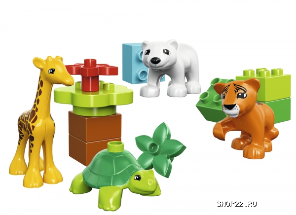 ������ ������� ����� ������ �����: ������ 10801 � �������� - ����