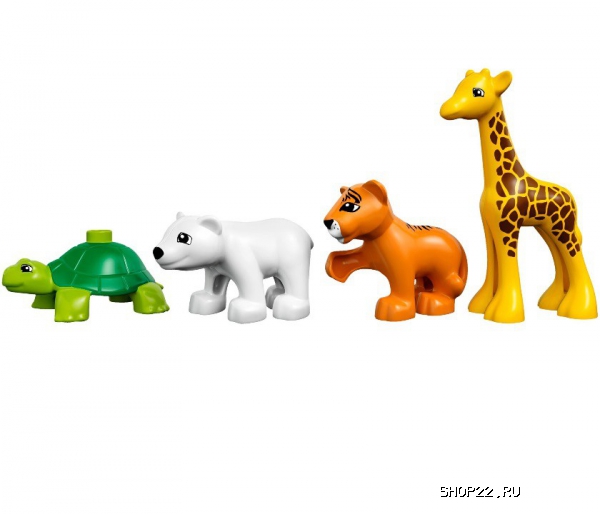 ������ ������� ����� ������ �����: ������ 10801 � �������� - ����