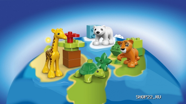 ������ ������� ����� ������ �����: ������ 10801 � �������� - ����