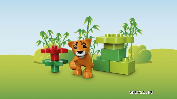 ������ ������� ����� ������ �����: ������ 10801 � �������� - ����