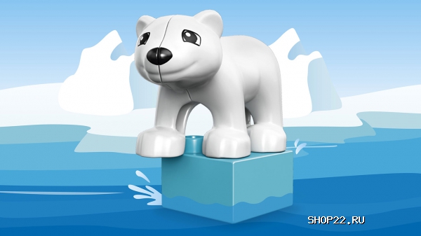 ������ ������� ����� ������ �����: ������ 10801 � �������� - ����