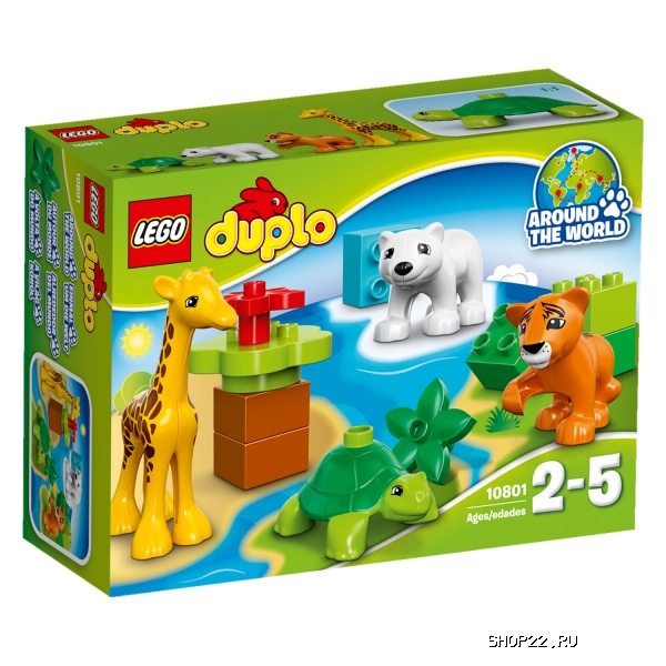 ������ ������� ����� ������ �����: ������ 10801 � �������� - ����