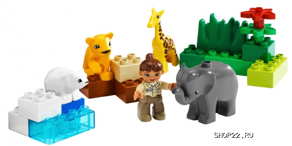 ������ ������� ����� ������� ��� ������� 4962 � �������� - ����