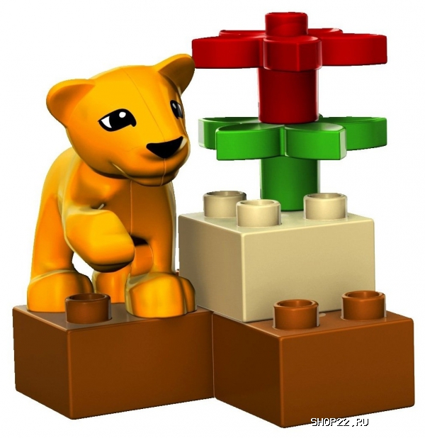 ������ ������� ����� ������� ��� ������� 4962 � �������� - ����