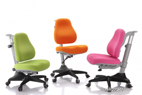 ������ ������ Match (Comf-Pro) � �������� - ����