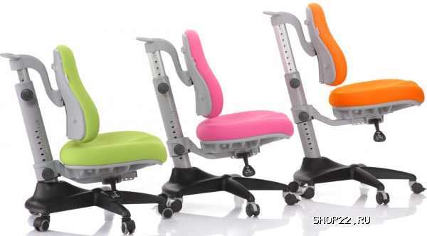 ������ ������ Match (Comf-Pro) � �������� - ����