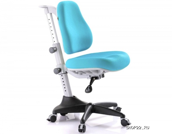 ������ ������ Match (Comf-Pro) � �������� - ����