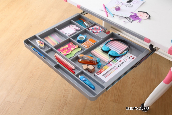 ������ ����� K1 � ������ KidsMaster � �������� - ����