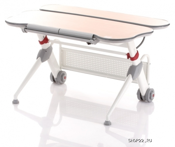 ����� Teddy Comf-Pro