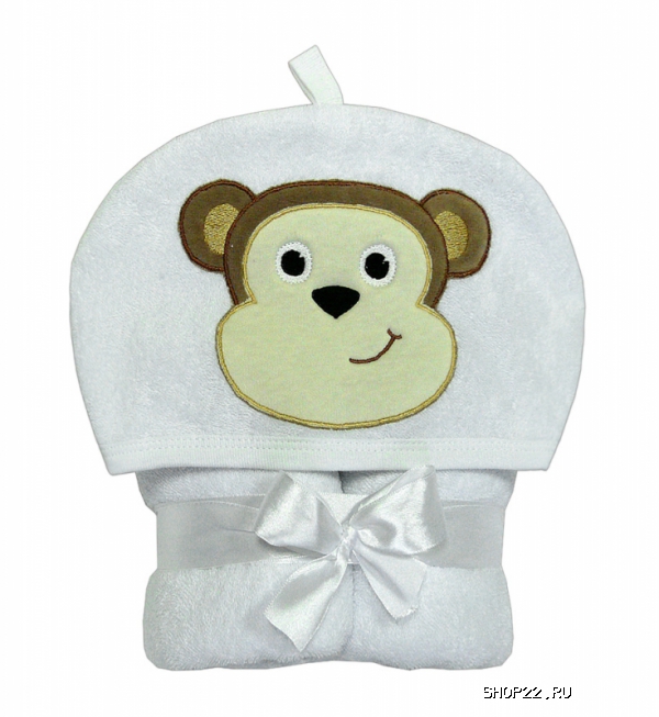 ������ ���� - ������� � �������� - ����