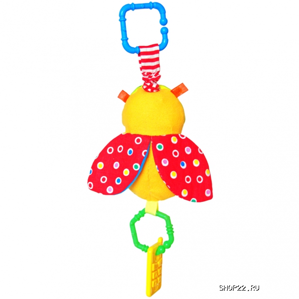 ������ �������� 