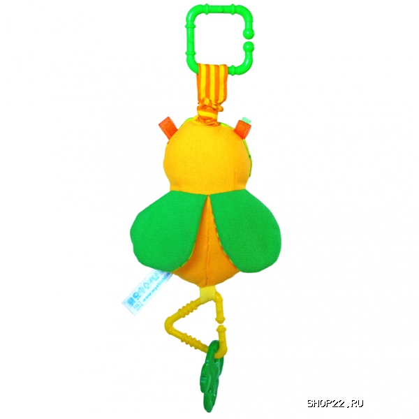 ������ �������� 