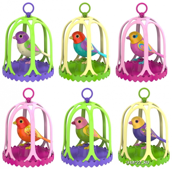 ������ Digi Birds ����� � ������� ������� � ������� 88295S � �������� - ����