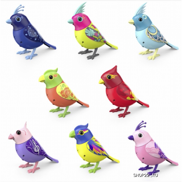 ������ Digi Birds ������ � ������� 88286 � �������� - ����