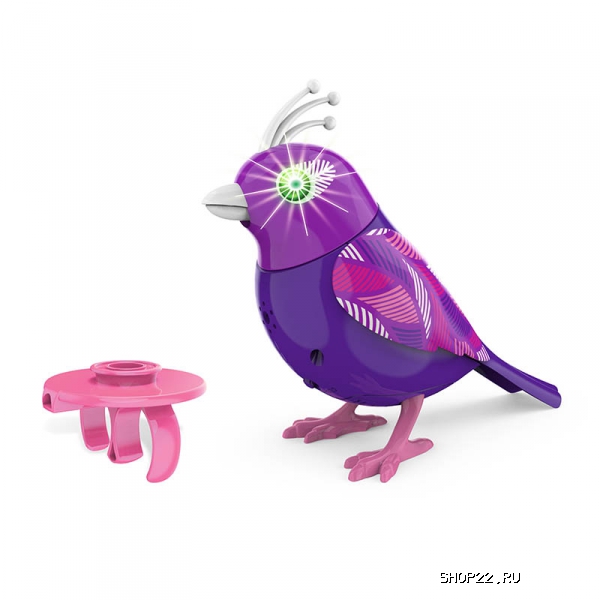 ������ Digi Birds ������ � ���������� ������� 88411 � �������� - ����