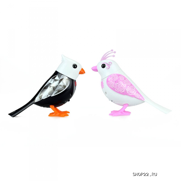 ������������� ������ DigiBirds 