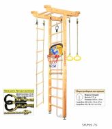  Big Sport Ceiling Basketball Shield Kampfer ()