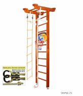  Little Sport Ceiling Basketball Shield Kampfer ( - 3 )