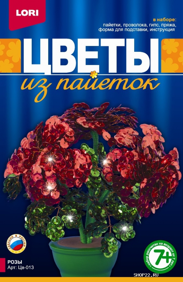 ������ ����� �� ������� ���� ��-013 � �������� - ����