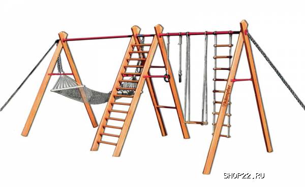 ��� Sunny day Kampfer