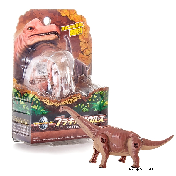 ����-����������� 