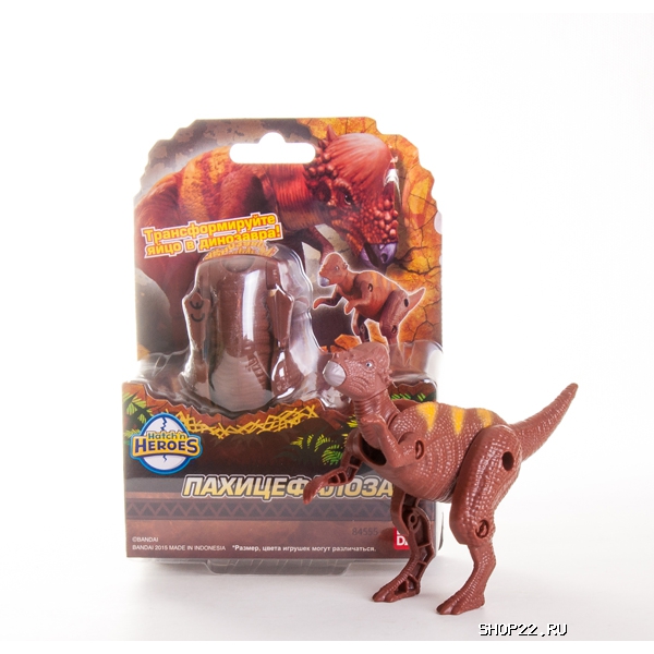 ����-����������� 