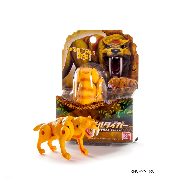 ����-����������� 